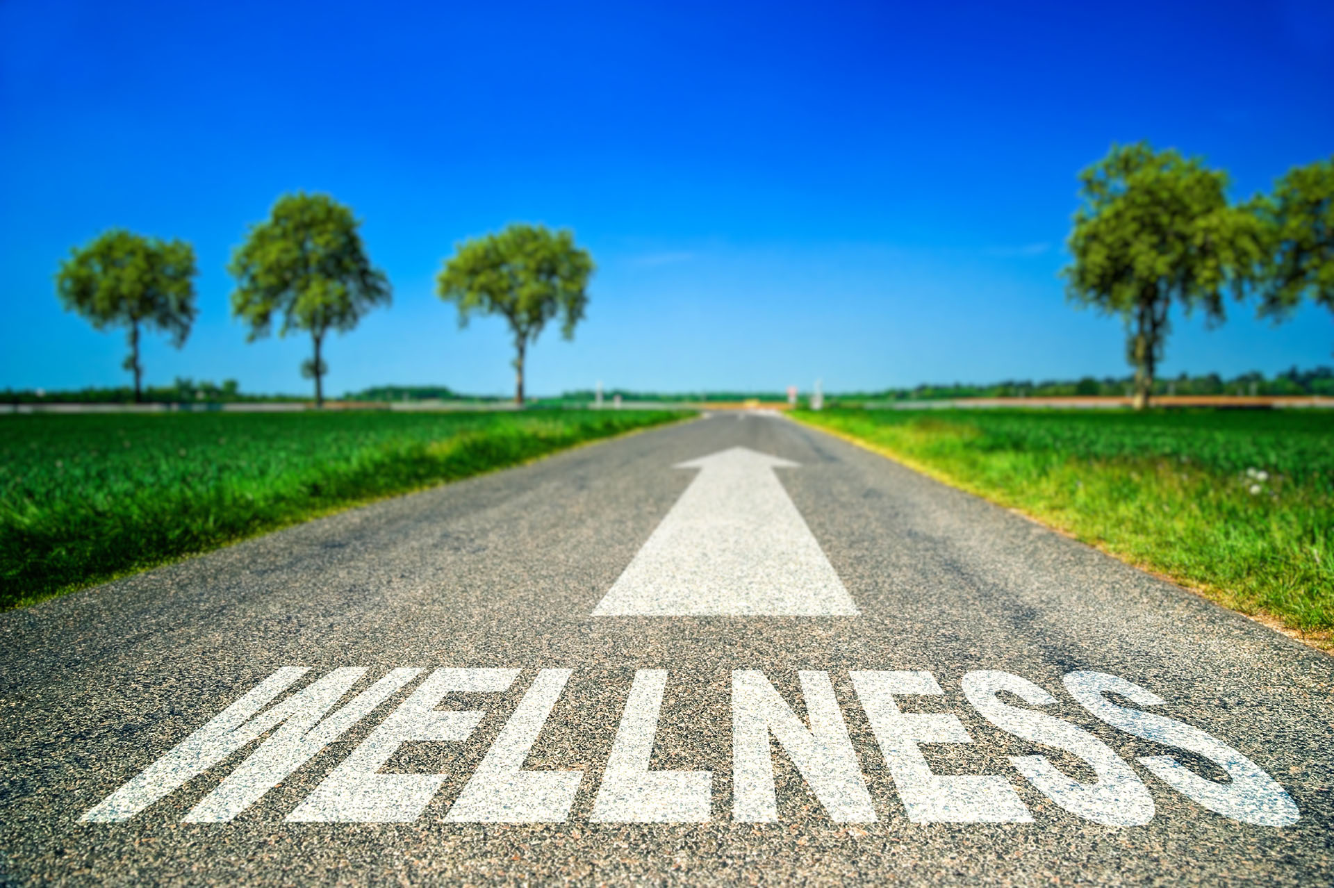 Washington DC Psychologist Wellness Road To Therapy Washington DC Psychologist Wellness Road To Therapy