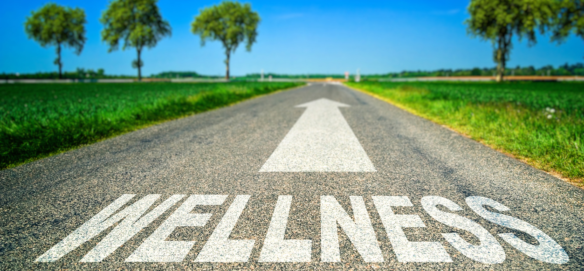 Washington DC Psychologist Wellness Road To Therapy Header Image Washington DC Psychologist Wellness Road To Therapy Header Image